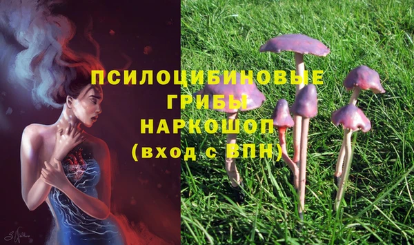 мяу мяу кристалл Бородино
