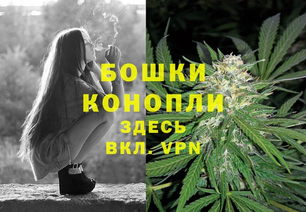 СК Сосновый Бор