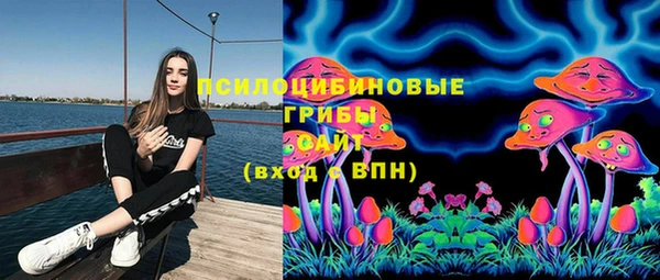 мяу мяу кристалл Бородино