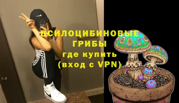 МДПВ Бронницы